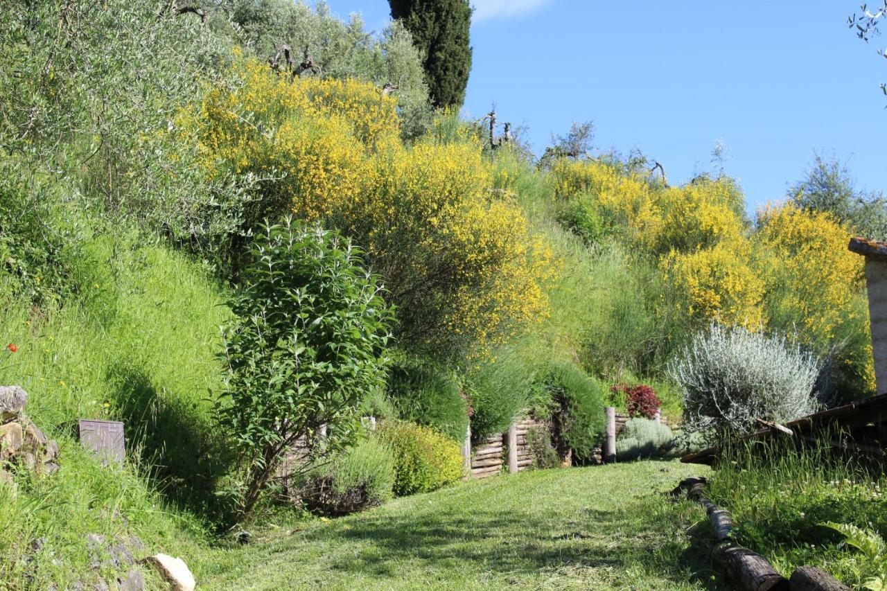 Villa Porsenna Chiusi